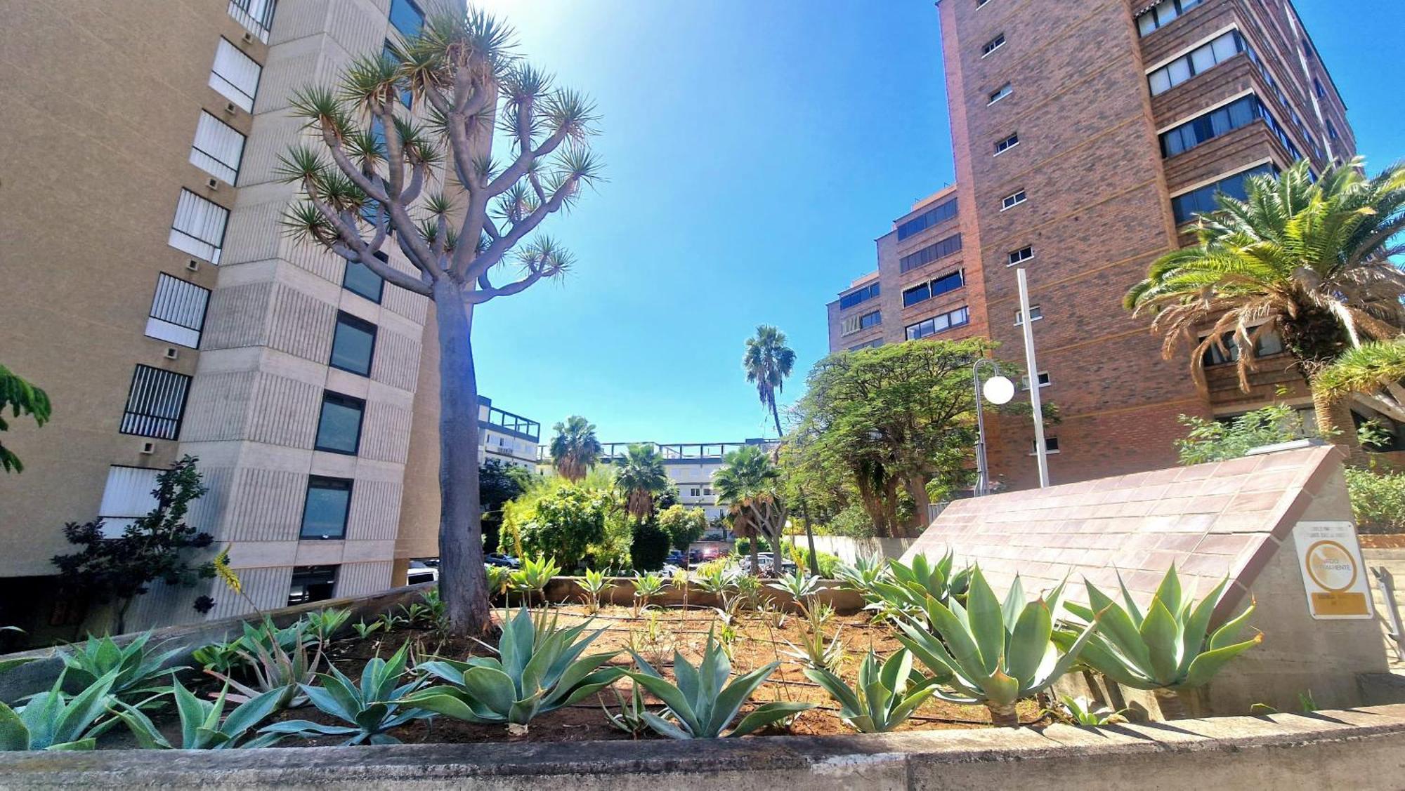 Apartamento Oroval Residencial Anaga Santa-Cruz de Ténérife Extérieur photo